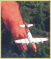 [Photograph]: An air tanker is dropping retardant on a fire.  The fire is not visible.