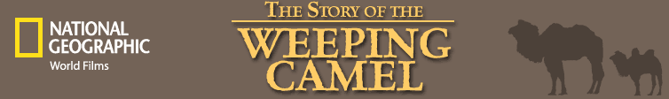 The Story of the Weeping Camel - Coming to Theaters Summer 2004