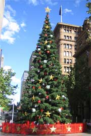 Christmas tree in Martin Place, Sydney 2005