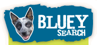 Bluey Search logo