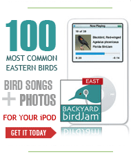 Backyard birdJam East: Bird Watcher's Digest has teamed up with birdJam to bring you songs and photos for 100 common eastern birds, all for your iPod or MP3 player!