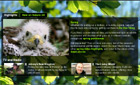 Nature UK website screenshot