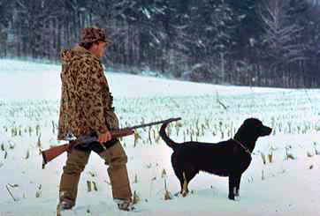 Man hunting with dog