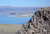 photograph of mono lake showing Paoha Island set against a bright blue sky. Bright yellow flowers in forground, tufa, then lake.