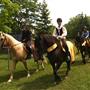 Medieval-Equestrian-Show.jpg