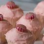 Seasonal cupcakes