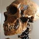 El sorprendente hallazgo sobre los neandertales
