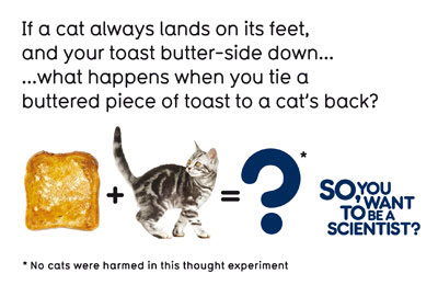 If a cat always lands on its feet and your toast butter-side down, what happens when you tie a buttered piece of toast to a cat's back? So, You Want To Be A Scientist? (a cat and a buttered piece of toast)