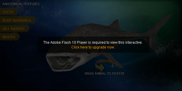 The Adobe Flash 10 Player is required to view this interactive. Click here to upgrade now.