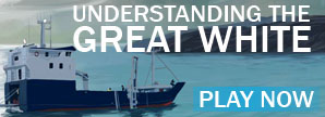 Understanding the Great White - PLAY NOW!