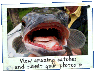 Image: View amazing catches and submit your photo