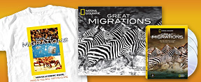 Great Migrations DVDs and apparel