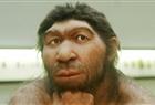 Neanderthals.jpg