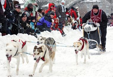 The Quebec Winter Carnival’s dogsled race takes the teams of mushers and dogs through the streets of old Quebec.