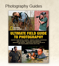 Photography Guides