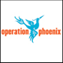 Phoenix-90x90-tile.jpg