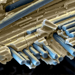 microscope image of fibers in a matrix