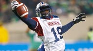 CFL's Underrated Photo Gallery