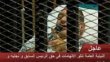 Mubarak trial continues with appearances of first witnesses
