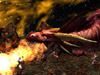 Dungeons & Dragons Online®: Eberron Unlimited™