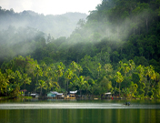 Entwicklung und Waldschutz auf Waigeo, West-Papua (Foto von: Tim Laman)