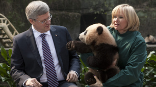 Harper's China visit ends with panda pact