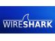 Mehrere Schwachstellen in Wireshark beseitigt