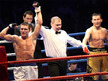 image from http://www.worldseriesboxing.com