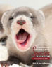 Jan-Feb 2012 Endangered Species Bulletin