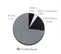 Ownership of Timberland