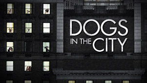 Dogs in the City Deleted Scene