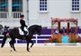 Judges watch Carl Hester of Great Britain ride Uthopia