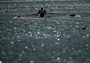 Marie-Louise Draeger of Germany competes in the Women's Single Sculls B final