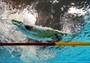 Michael Phelps of the United States dives into the pool