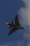 ZU-BEW Lightning F6 from Thunder City in flight at Ysterplaat AFB