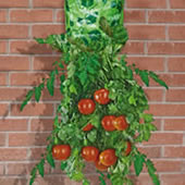 Upside Down Garden - Tomato Planter