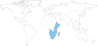 Global map - Eastern and Southern Africa