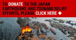Japan earthquake and tsunami relief - Donate