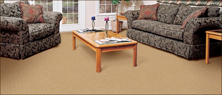 premium-quality-green-carpet-cleaner