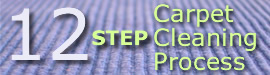 Learn more about the CLEAN Choice  12 Step Carpet Cleaning Process