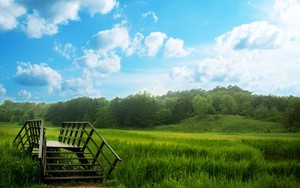 Pictogram voor Green and Beautiful Sky