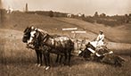 A man uses a McCormick grain binder pulled by two horses to work in a field, circa 1900