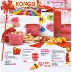 CNY Cookies Gift Set (Tupperware Kongsi Promo)