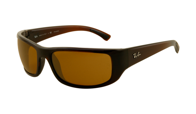 Ray Ban RB4176 Sunglasses Brown Frame Light Brown Polarized Lens