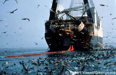 Greenpeace - Aufnahme eines Fishtrawlers