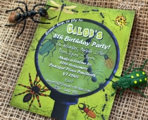 Insect Party