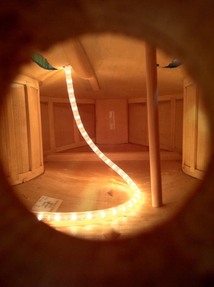 Inside View of Double Bass Soundpost