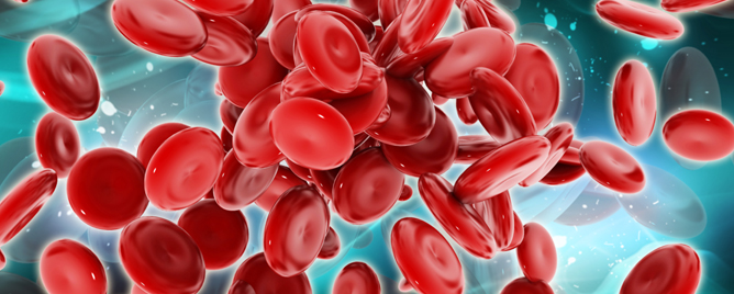 <br>Researchers have used a colourful, cell-labelling technique to track the development of the blood system and trace the lineage of adult blood cells travelling through the vas.... <a href='http://hsci.harvard.edu/news/colorful-clones' target='_blank'>More</a>