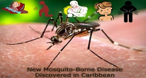 New Mosquito-Borne Disease Discovered in Caribbean