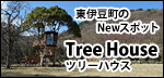東伊豆町のツリーハウス